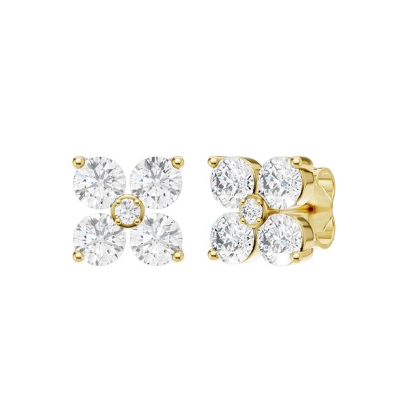 Earrings Robison Jewelry Co. Fernandina Beach, FL