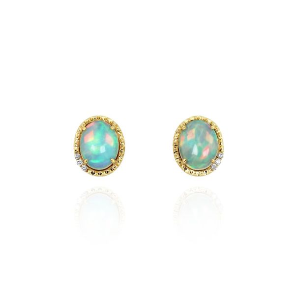 Earrings Robison Jewelry Co. Fernandina Beach, FL