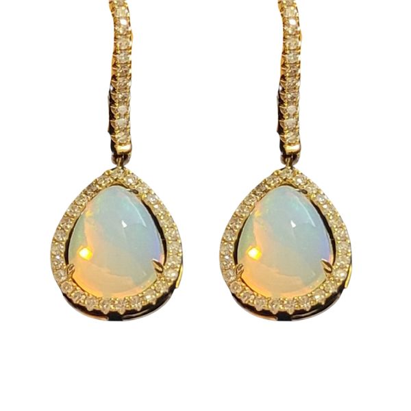 Earrings Robison Jewelry Co. Fernandina Beach, FL