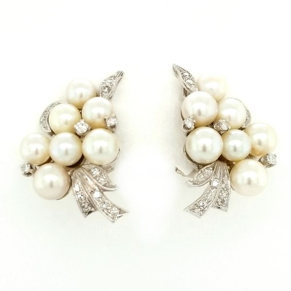 Earrings Robison Jewelry Co. Fernandina Beach, FL