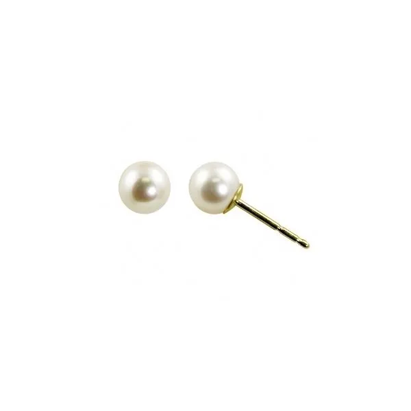 Earrings Robison Jewelry Co. Fernandina Beach, FL