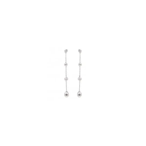 Earrings Robison Jewelry Co. Fernandina Beach, FL