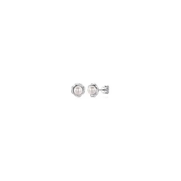 Earrings Robison Jewelry Co. Fernandina Beach, FL