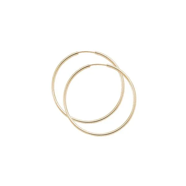 Earrings Robison Jewelry Co. Fernandina Beach, FL