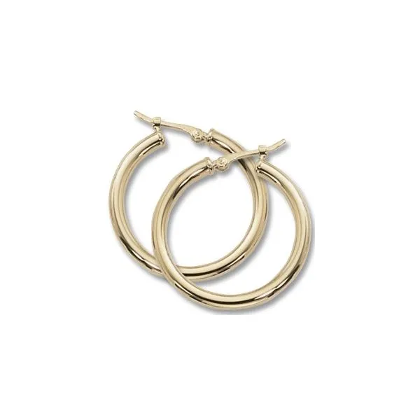 Earrings Robison Jewelry Co. Fernandina Beach, FL