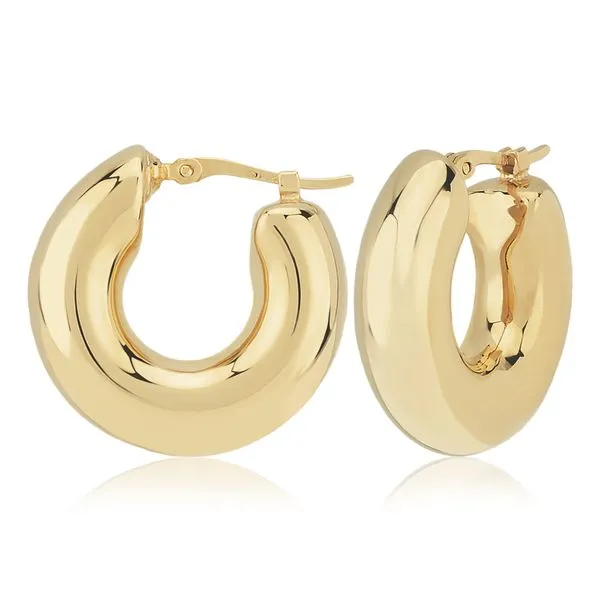 Earrings Robison Jewelry Co. Fernandina Beach, FL