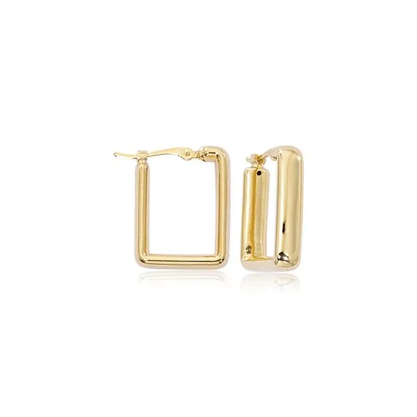 Earrings Robison Jewelry Co. Fernandina Beach, FL