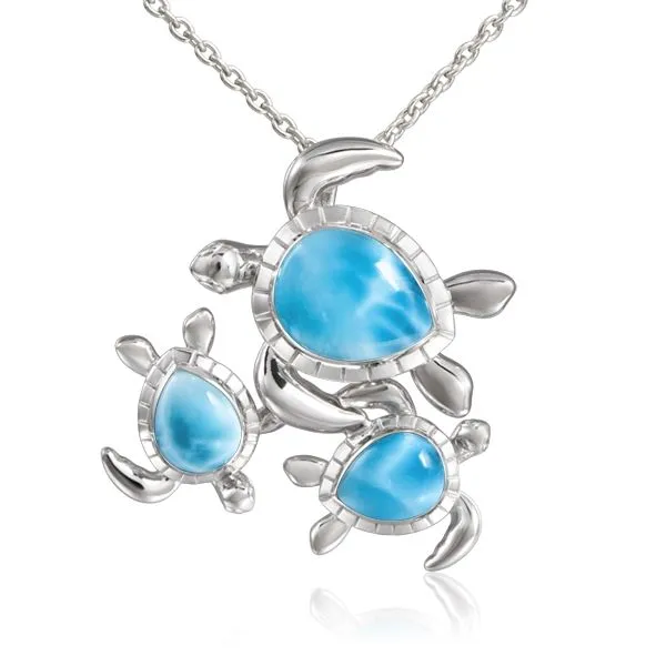 Pendant Robison Jewelry Co. Fernandina Beach, FL