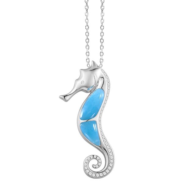 Pendant Robison Jewelry Co. Fernandina Beach, FL