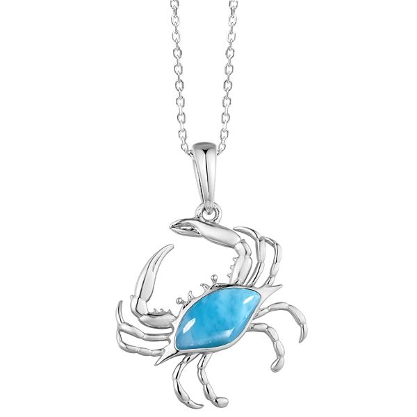 Pendant Robison Jewelry Co. Fernandina Beach, FL