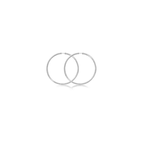 Earrings Robison Jewelry Co. Fernandina Beach, FL