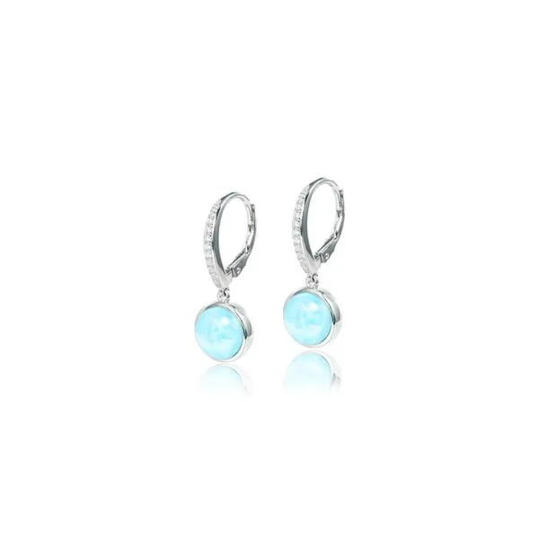 Earrings Robison Jewelry Co. Fernandina Beach, FL