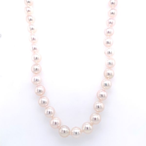 14Ky Pearl Necklace Rolland's Jewelers Libertyville, IL