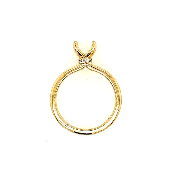 Diamond Ring Setting Image 2 Romm Diamonds Brockton, MA