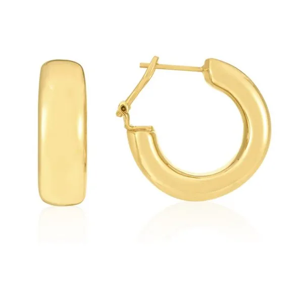 Earrings Romm Diamonds Brockton, MA