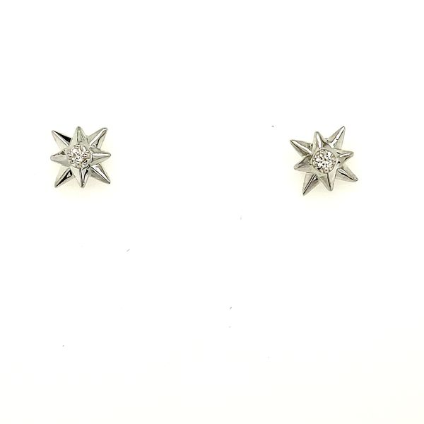 Silver or Sport Metal Earrings Romm Diamonds Brockton, MA