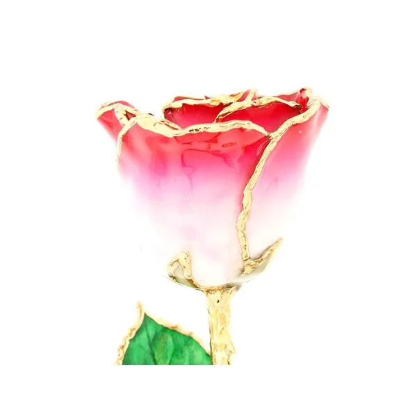 Loving Lovely White and Red with Gold Trim Root Jewelers Medford, OR
