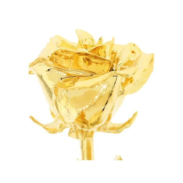 24k Lacquered rose. Root Jewelers Medford, OR