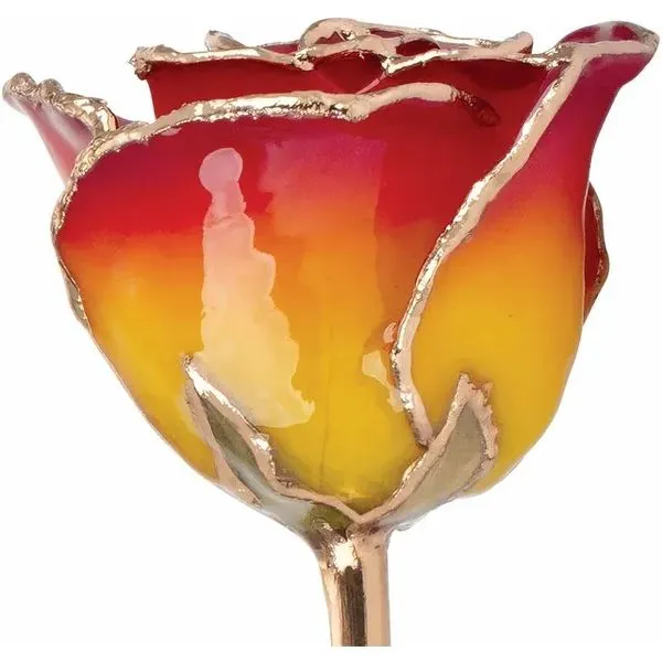 24 karat gold plated rose. Root Jewelers Medford, OR