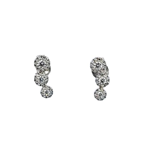 14KW Diamond Earrings Image 2 Ross Elliott Jewelers Terre Haute, IN