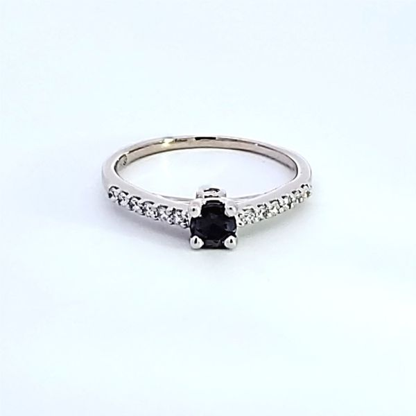 18K White Gold Alexandrite Ring Image 2 Ross Elliott Jewelers Terre Haute, IN