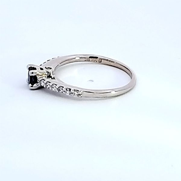 18K White Gold Alexandrite Ring Image 4 Ross Elliott Jewelers Terre Haute, IN