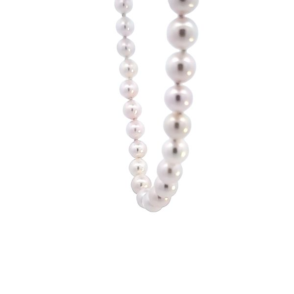 14K White Gold Pearl Strand Necklace Image 4 Ross Elliott Jewelers Terre Haute, IN