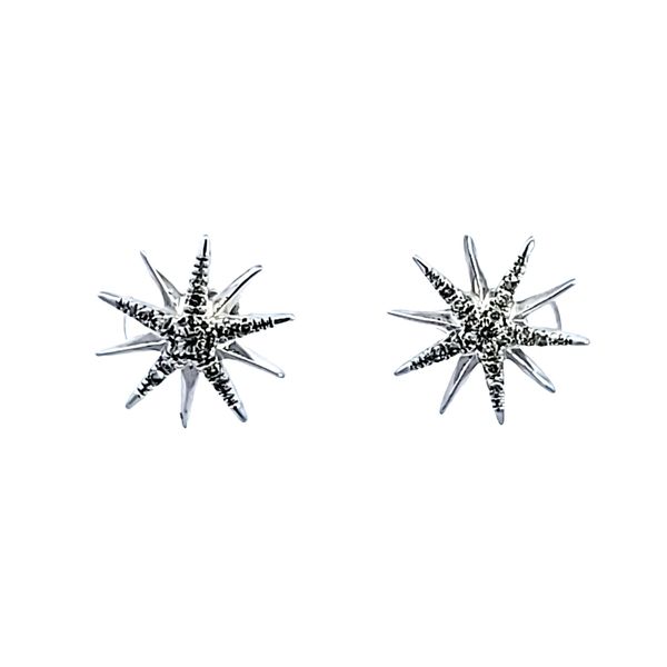 Sterling Silver Diamond Starburst Earrings Image 2 Ross Elliott Jewelers Terre Haute, IN