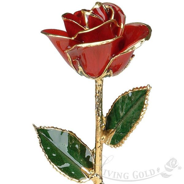 Red Rose (January) Ross Elliott Jewelers Terre Haute, IN