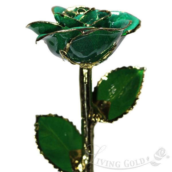 Dark Green Rose (May) Ross Elliott Jewelers Terre Haute, IN