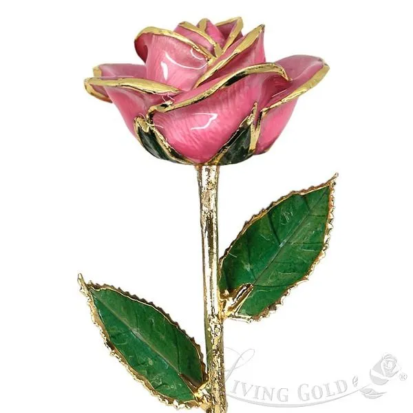 Pink Rose (December) Ross Elliott Jewelers Terre Haute, IN