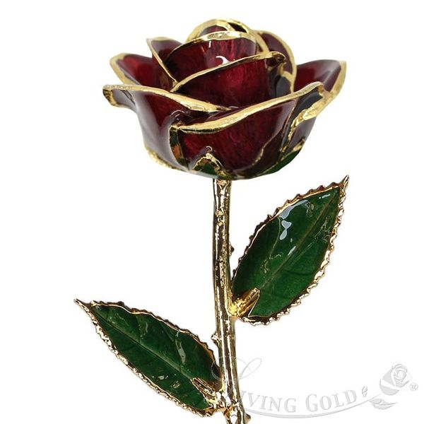 Burgundy Rose (February) Ross Elliott Jewelers Terre Haute, IN