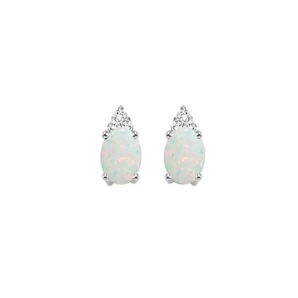 Opal Earrings Sam Dial Jewelers Pullman, WA