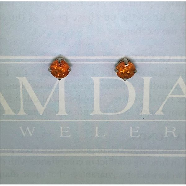 Mexican Opal Studs Sam Dial Jewelers Pullman, WA