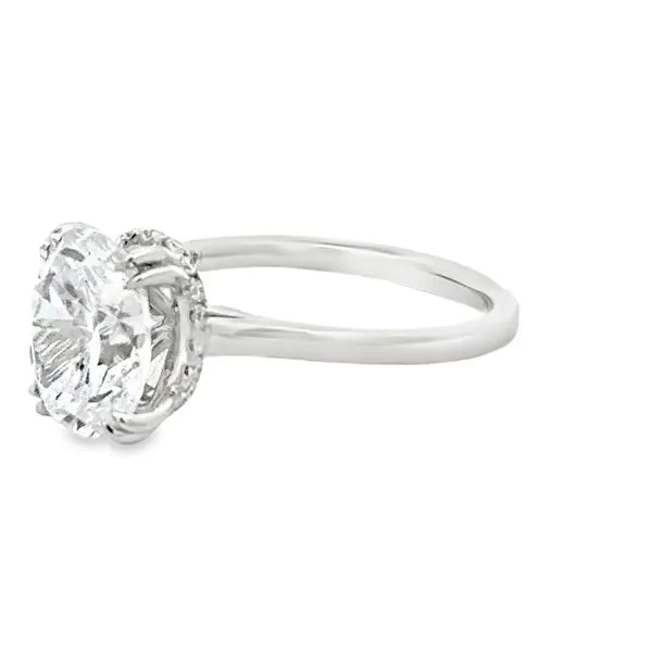 14K White Gold Oval Diamond Semi Mount Image 5 S&E Jewelers Depew, NY
