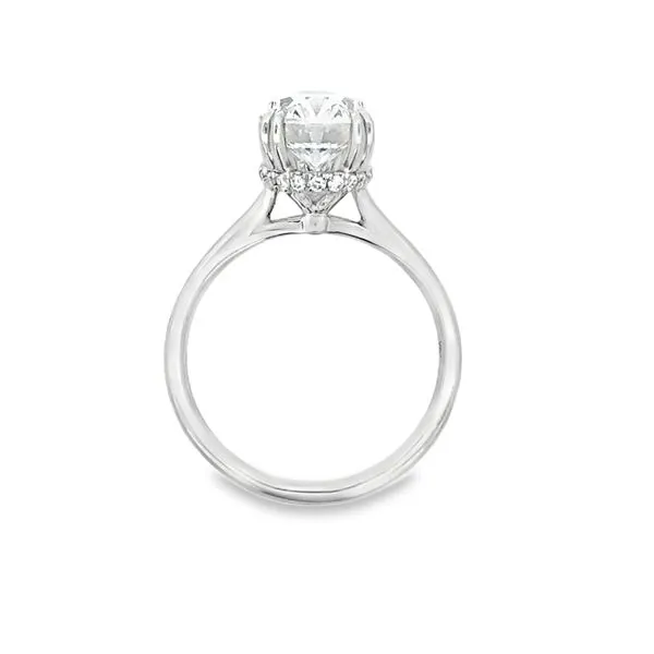 14K White Gold Oval Diamond Semi Mount S&E Jewelers Depew, NY