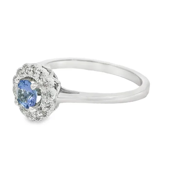 10Kt White Gold 0.36ctw Round Tanzanite Fashion Ring Image 3 S&E Jewelers Depew, NY