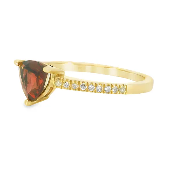 10 Karat Yellow Gold Garnet Fashion Ring Image 3 S&E Jewelers Depew, NY