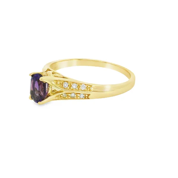 14 Karat Yellow Gold Amethyst Fashion Ring Image 3 S&E Jewelers Depew, NY