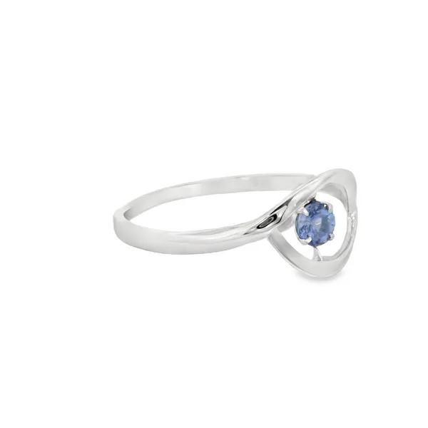 14Kt White Gold Tanzanite Fashion Ring Image 2 S&E Jewelers Depew, NY
