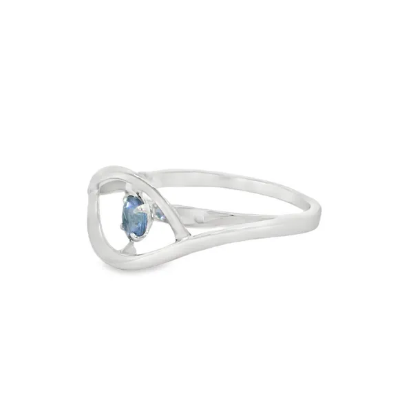 14Kt White Gold Tanzanite Fashion Ring Image 3 S&E Jewelers Depew, NY