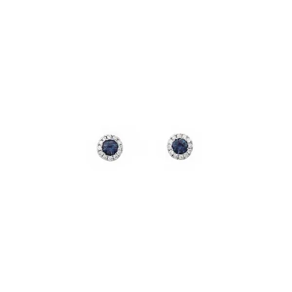 14KT Yellow Gold Colored Stone Earrings S&E Jewelers Depew, NY