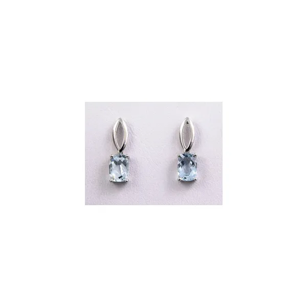 14KT White Gold Aquamarine Earrings S&E Jewelers Depew, NY