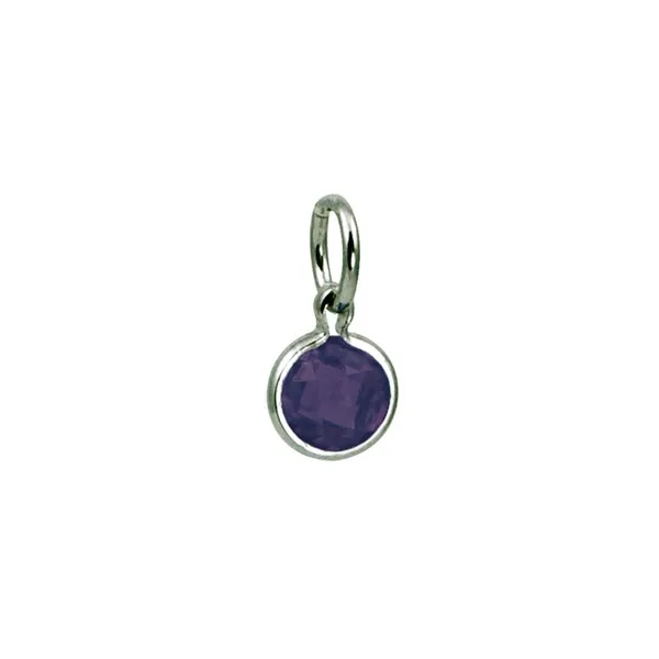Sterling Silver June Coin Pendant S&E Jewelers Depew, NY