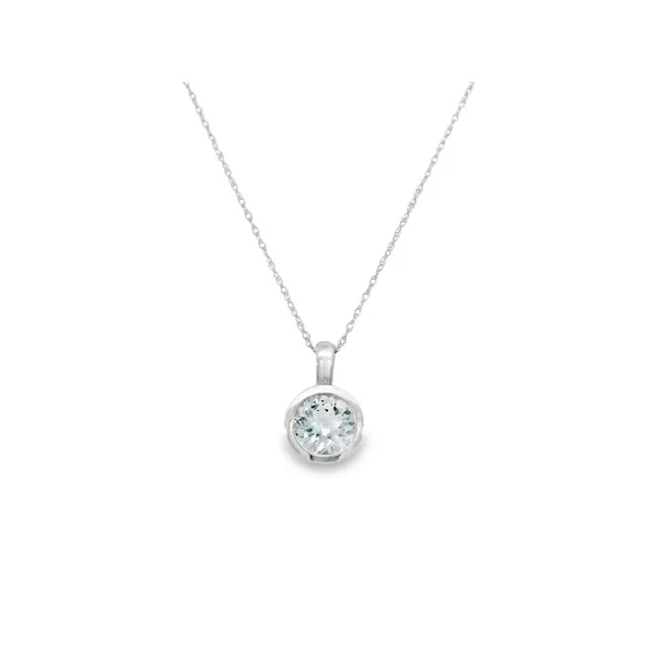 Aquamarine Pendant in 14K White Gold S&E Jewelers Depew, NY