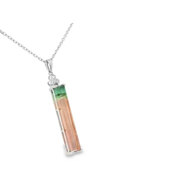 14K White Gold Watermelon Tourmaline Pendant Image 2 S&E Jewelers Depew, NY