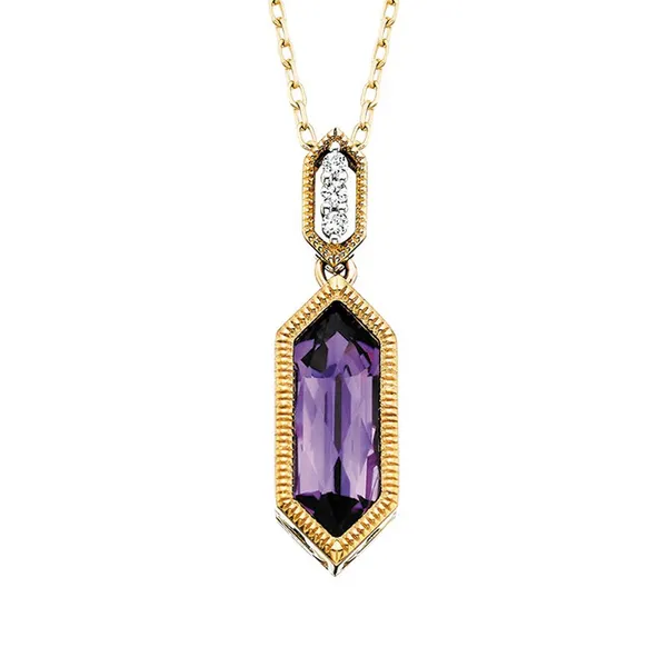 10K Yellow Gold Amethyst and Diamond Pendant S&E Jewelers Depew, NY
