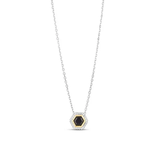 Sterling Silver and 18K White Gold Black Onyx Necklace S&E Jewelers Depew, NY