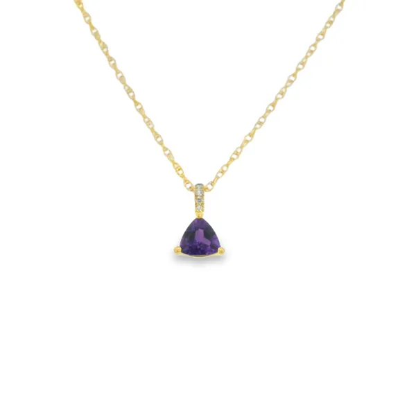 10K Yellow Gold Amethyst and Diamond Necklace S&E Jewelers Depew, NY