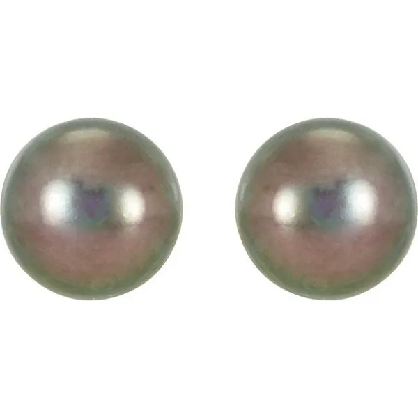14K Yellow Gold Black Freshwater Pearl Studs S&E Jewelers Depew, NY